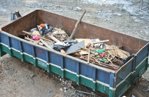 Paddington community members participating in waste removal