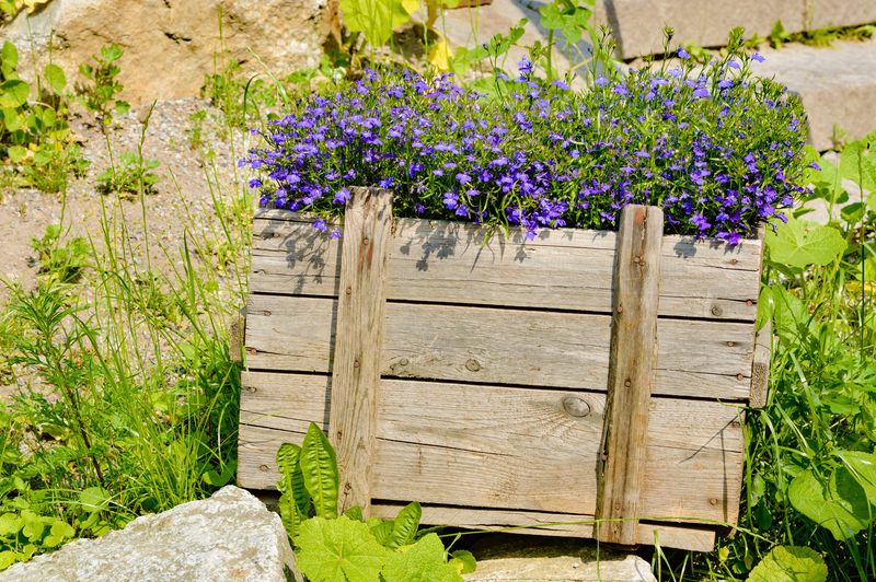 Mastering the Art of Sustainable Packaging and Cardboard Disposal